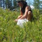 Dia 31 -Munising -Ispheming -UP - Michigan Dia 31 -Munising -Ispheming -UP - Michigan