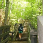 Dia 41 - Mellen - Clam Lake ( Junction Motel) - Wisconsin