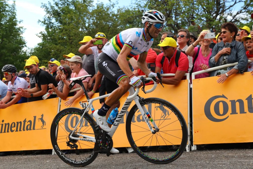 Alejandro Valverde y Canyon del 2019 campeón del mundo