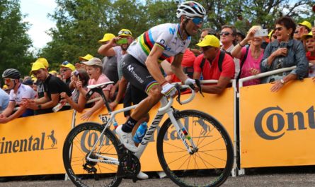 Alejandro Valverde y Canyon del 2019 campeón del mundo