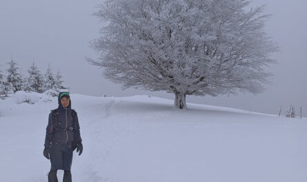 Nieve en Elgoibar