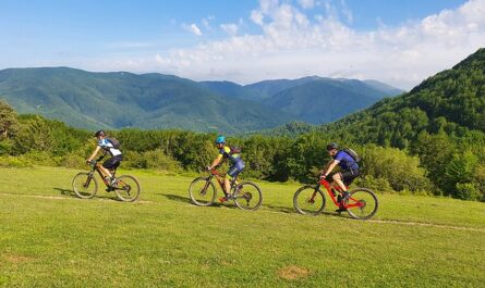 Viajes en bicicleta