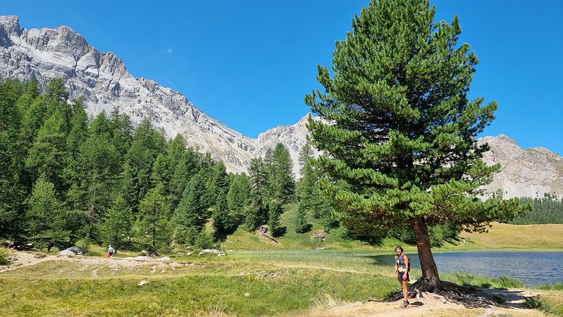 Vacaciones de verano 2026 en autocaravana: Alpes, Queyras